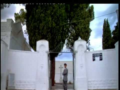 TG PRIMA - sogno di una morte di mezza estate