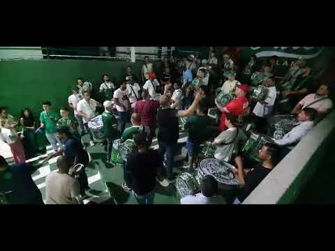 Mancha Verde Bateria Puro Balanço 2024