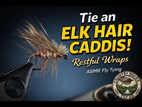 Elk Hair Caddis