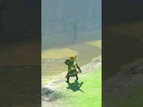 Hylian Shield and Lynel Rain FACT or CAP | Tears of the Kingdom