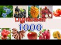பழங்களின் தமிழ் பெயர் | Learn fruit names in Tamil|malli mooligai