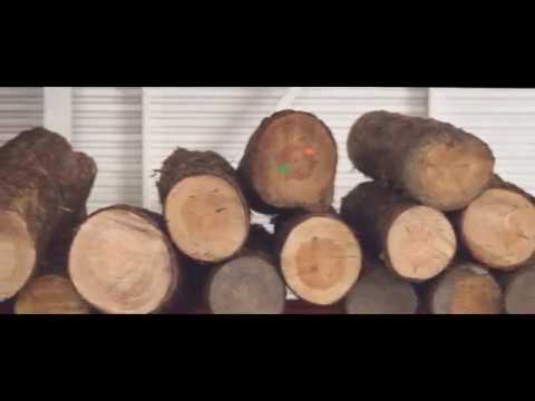 YOUTUBE CZP 3 Launch