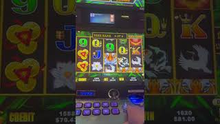 WINNING ON EYES OF TIGER SLOT MACHINE 🎰 #slots #casino #gambling #pokies #australia