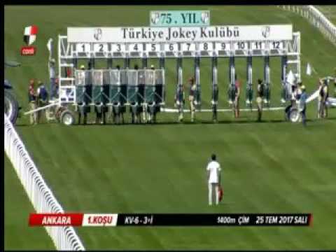 KV-6/3i   1400m çim  25/07/2017   WILLPOWER