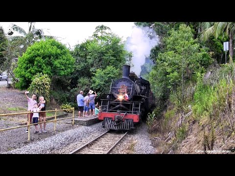 🇧🇷 Trem turístico da ABPF/Sul / ABPF/Sul tourist train - São Bento do Sul/SC - 2020 - (Brasil)