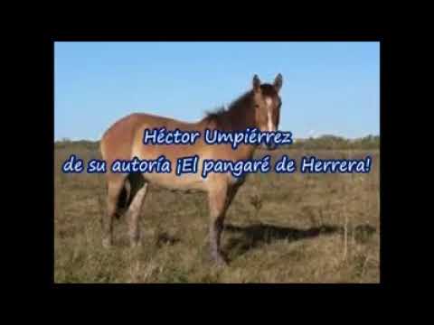 Héctor Umpiérrez ¡El Pangaré de Herrera!