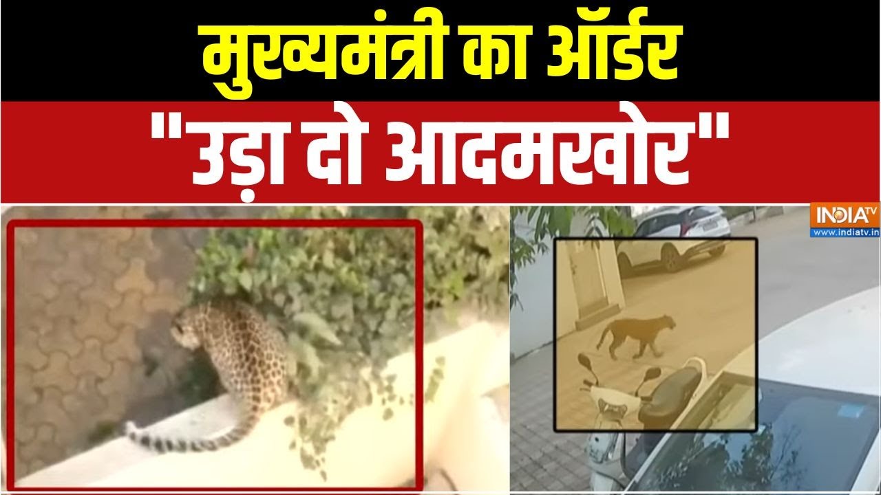 Dharmyudh : महाराष्ट्र में शहर-शहर फैला आदमखोर का डर | Leopard Attack | Ma