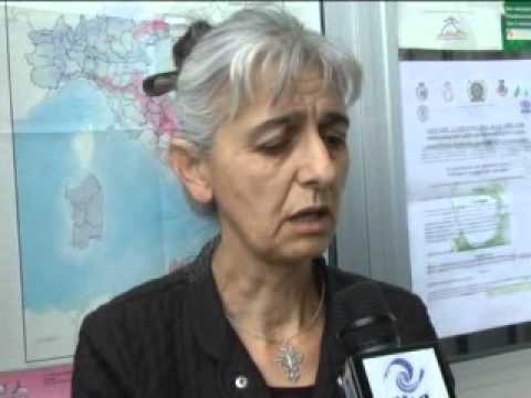 ONDA TG 31.05.2013 - PROTESTA ELENA LATTANZI PER ALLONTANAMENTO NIPOTE