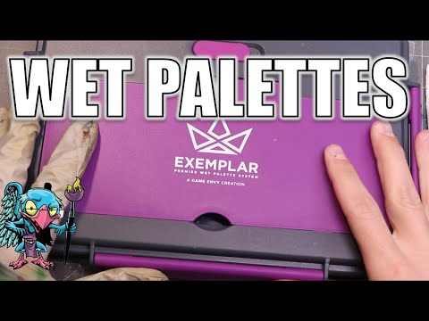 Ultimate Guide to Wet Palettes - HC 428