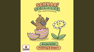 Immer wieder kommt ein neuer Frühling