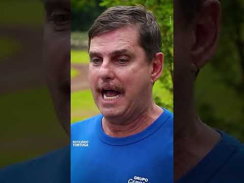 Com gestão e Tortuga® no cocho o Grupo Cerro Azul acelera no ciclo completo | Noticiário Tortuga