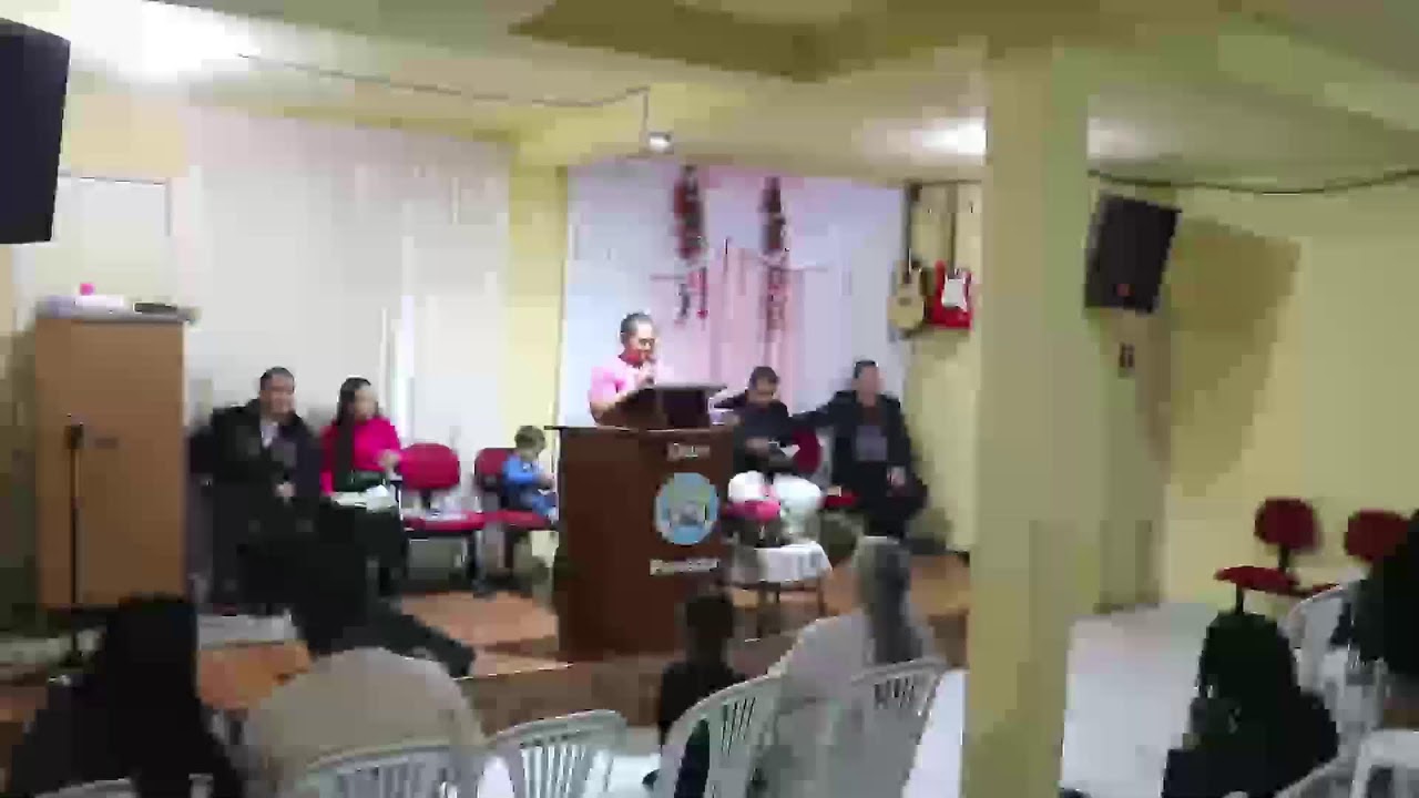 Transmissão ao vivo de Palavra Liberada OFICIAL