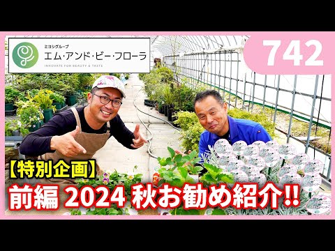 苗を何に入れますか？ 4 つの回復アイデア + ビデオ手順  庭園