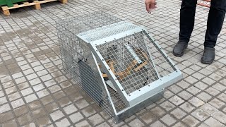 &Eacute;quipement pour la volaille Lotin Enkelf&auml;lla Lotin f&ouml;r kr&aring;ka | Image 4 - Agroline