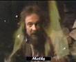 Ian Anderson (Jethro Tull): Moths 1978 (LP Heavy ...