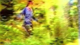 My Dying Bride - The Songless Bird (Czad Komando, TVP 1, 1994/1995)