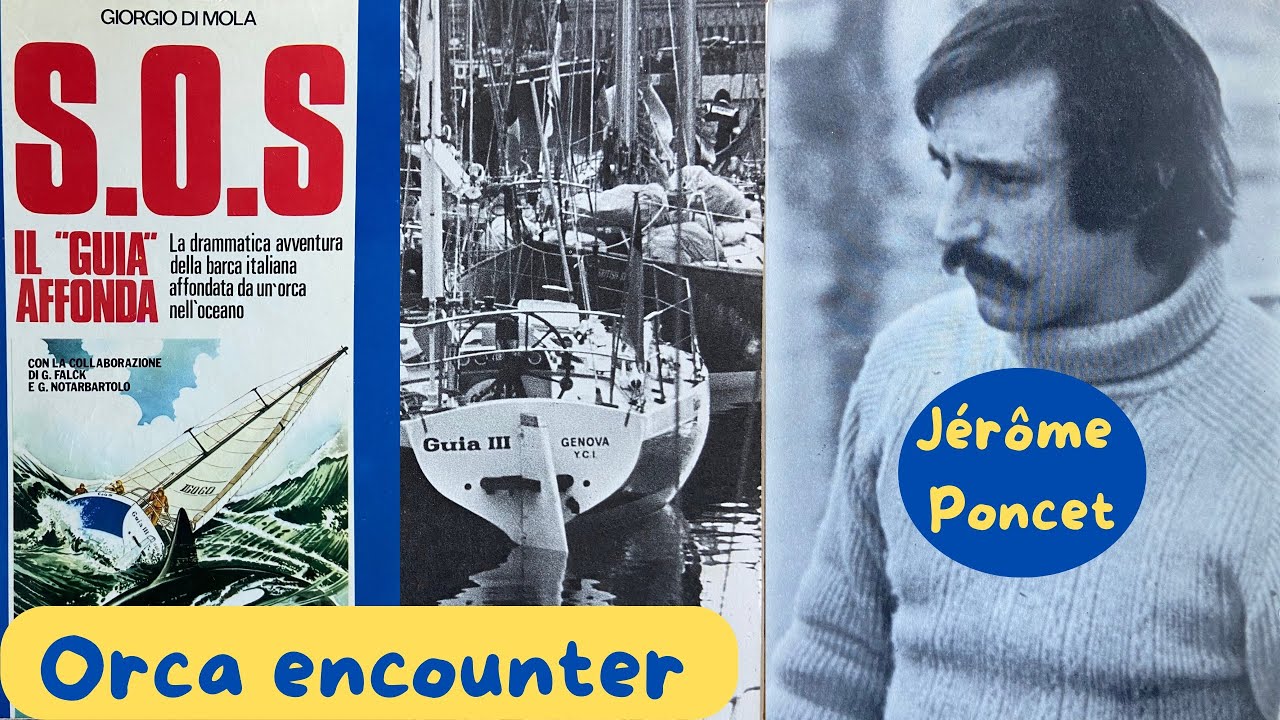 Jérôme Poncet: orca encounter, sunken yacht