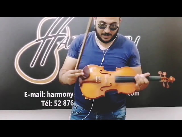 Violin Crescendo 4/4