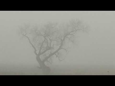 YKS DK3 - thought our love’s eternalized?