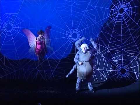 Donato Di Stefano - A un dottor della mia sorte - Il barbiere di Siviglia