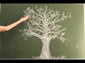 Дерево. Меловая анимация 