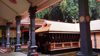 Temple video