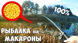Ловля карпа на макароны и приготовление
