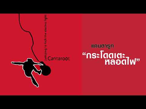 CANTAROOT (แคนตารูท) : กระโดดเตะหลอดไฟ  (Remaster official Audio)