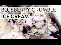 Blueberry Crumble Ice Cream Sally S Baking
