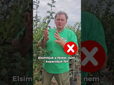 Őszi gyümölcsfaültetés