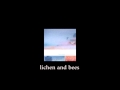 lichen and bees - Tamas Wells