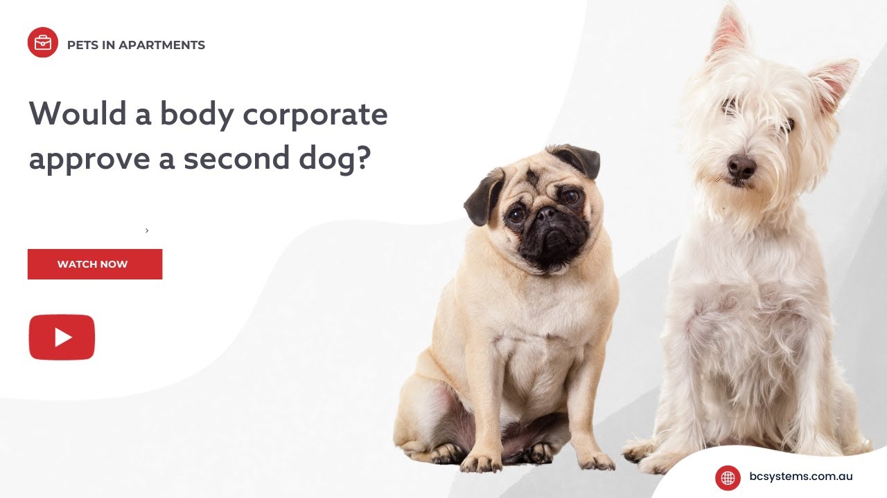 Would the body corporate approve a second dog?