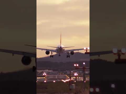 Un avion atterrit en urgence après une vidéo TikTok… 🧐