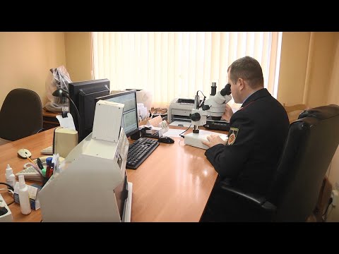Праца судовых экспертаў. Актуальны рэпартаж видео