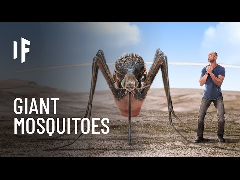 蚊が人間の大きさだったら？ (What If Mosquitoes Were the Size of Humans?)