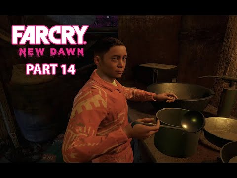 FAR CRY NEW DAWN | Walkthrough Gameplay Part 14  | PC