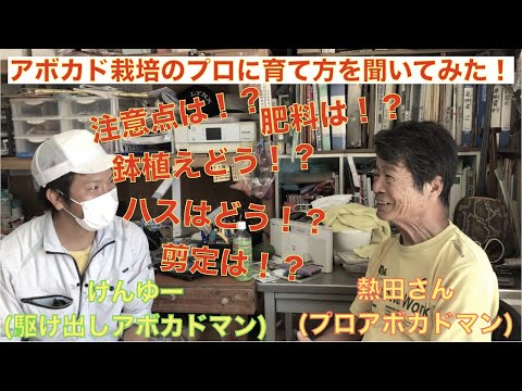 , title : 'プロのアボカド栽培者に育て方や注意点を聞いてみた！沖縄県で多くのアボカドの品種を栽培している熱田さん！'