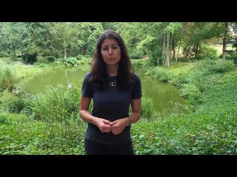 Anleitungsclips zur Entspannung 🧘: PMR - Einführung