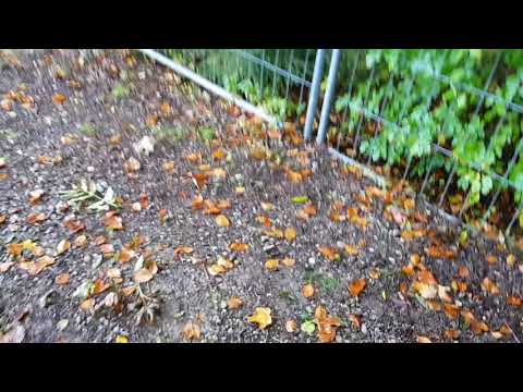 MW-Sender Wildmountainradio 2017