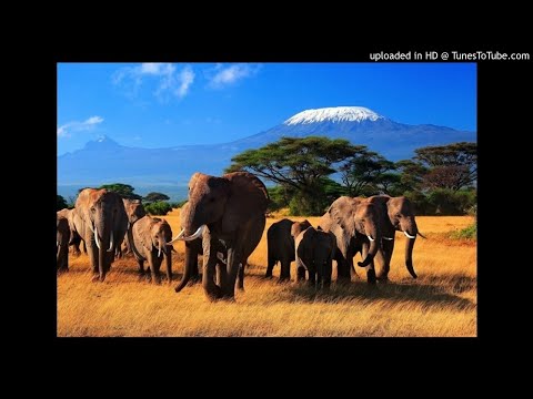 Bhar ft DJ Sox Benzy & Mshekesheke - Asdanse