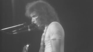 Hot Tuna - I Wish You Would - 11/20/1976 - Capitol Theatre (Official)
