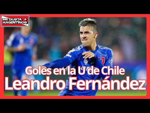 #aaaj LOS GOLES DE LEANDRO FERNÁNDEZ EN SU ÚLTIMA TEMPORADA