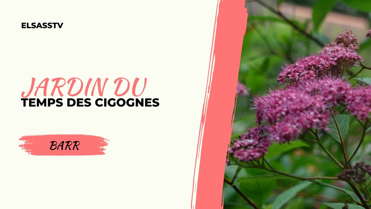 Le jardin du temps des cigognes