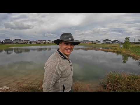 Stormwater Treatment: The Unseen Hero of Urban Water