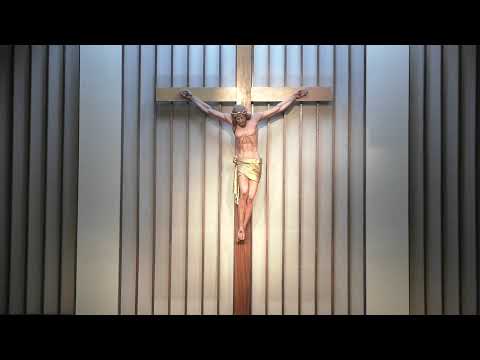 2020 October 25 St. Norbert 9am - Sunday Mass