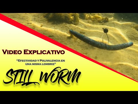 Still Worm - 📚💡 Video Explicativo - AGR Baits