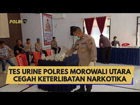 TES URINE POLRES MOROWALI UTARA CEGAH KETERLIBATAN NARKOTIKA
