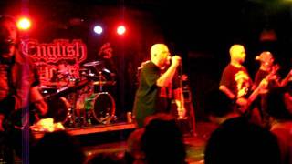 English Dogs - The chase is on live forward into battle