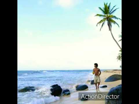 I feel to party-Aphro G