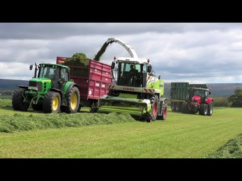 Silage '20 - Class Jaguar "Green Eye" 890 Hard at it.